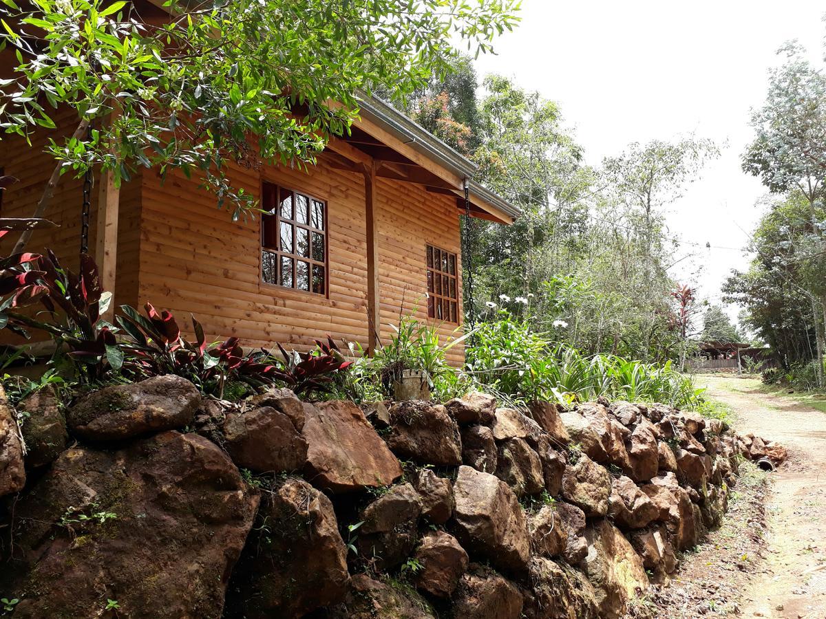 Cabañas El Coyote San Pablo  Exterior foto